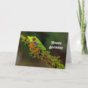 Red Eyed Träd Frog Photo Birthday Kort