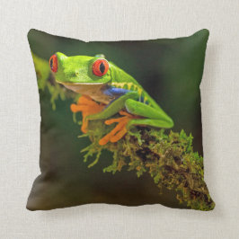 Red Eyed Träd Frog Photo Kudde