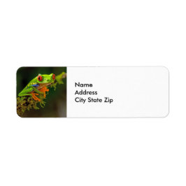 Red Eyed Träd Frog Photo Returadress Etikett
