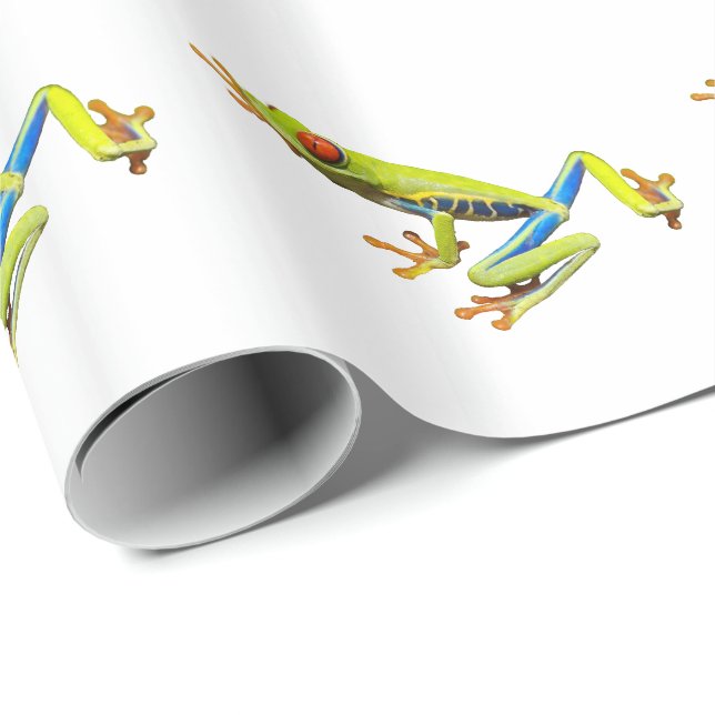 Red eyed tree frog presentpapper (Rullad Hörn)