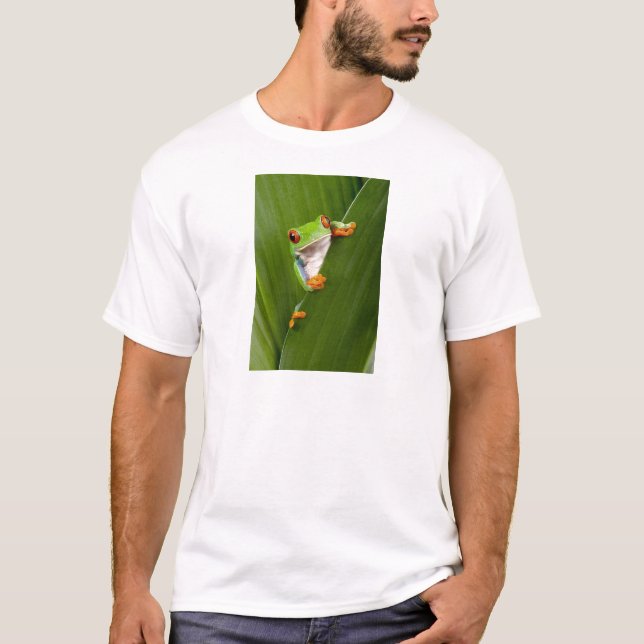 Red eyed tree frog t shirt (Framsida)