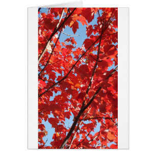 Red Fall Hälsningskort