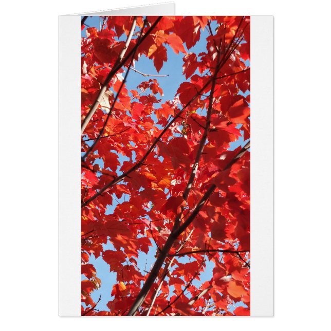 Red Fall Hälsningskort (Framsidan)