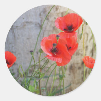 Red Fält Maj Poppies Sticker Runt Klistermärke