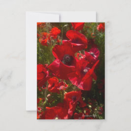 Red Fält Poppies Anteckningskort