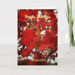 Red Flamboyant Flowers Blommigt Birthday Anpassnin Kort