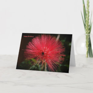 Red Flash Birthday Card Kort