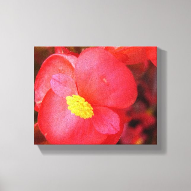 Red Flower Canvas (Framsida)