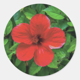 Red Flower Design Runt Klistermärke