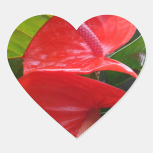 Red Flower Heart Sticker Hjärtformat Klistermärke