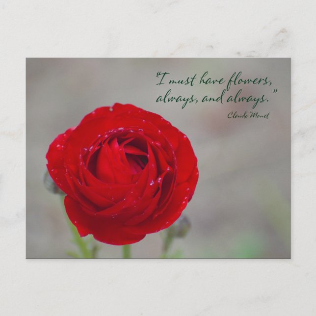 Red Flower Inspirational Garden Quote Monet Vykort (Framsida)