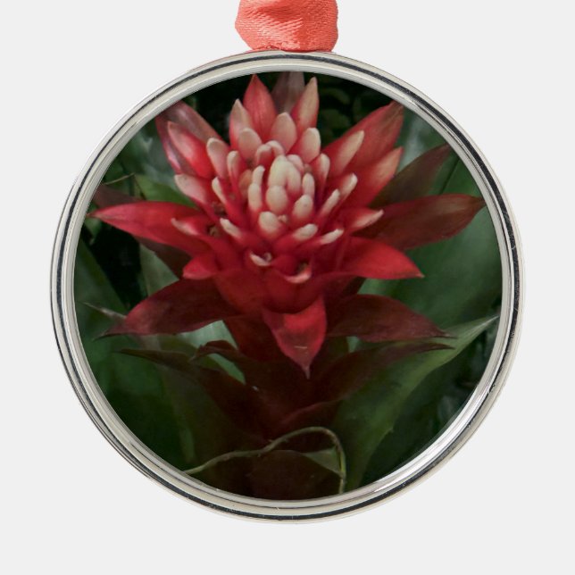 Red Flower Ornament (Framsidan)