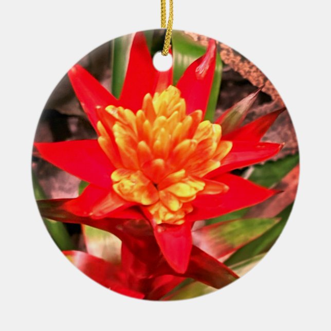 Red Flower Ornament (Framsidan)