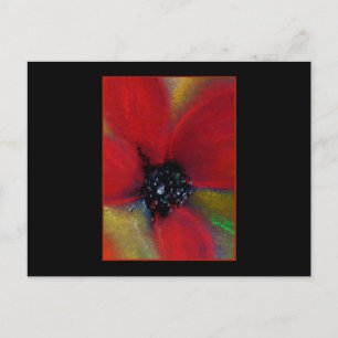 Red Flower, Poppy. Vykort