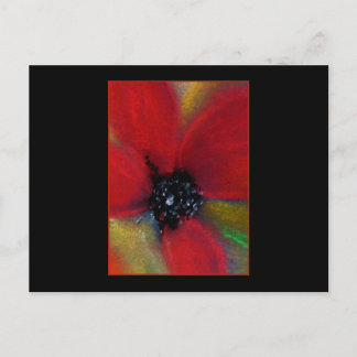 Red Flower, Poppy. Vykort