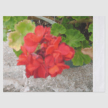 red flower tissue paper