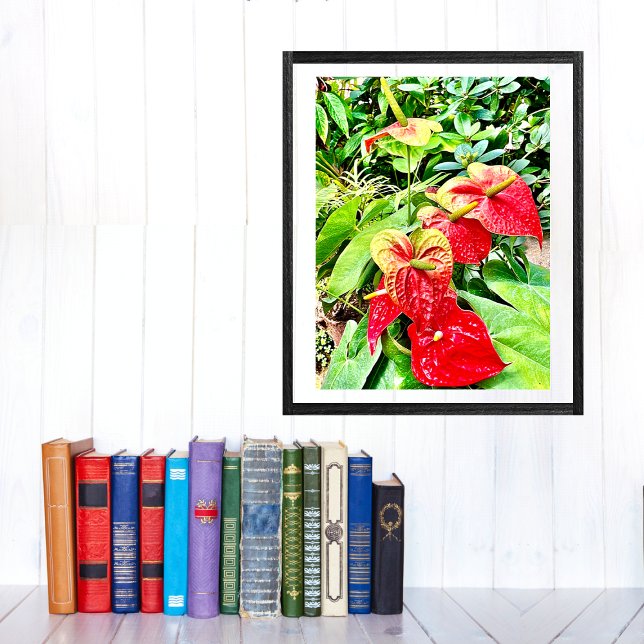 Red Flower Tropical Garden Poster (Skapare uppladdad)