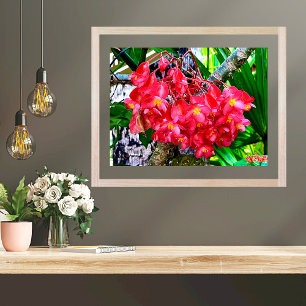 Red Flowers Garden Mexiko Poster
