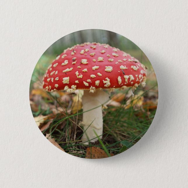 Red Fly Agaric-knapp Knapp (Framsida)