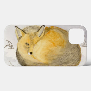 Red Fox