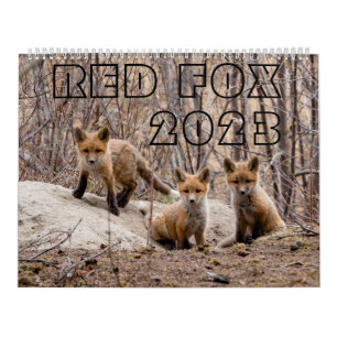 Red Fox 2023 - Kalender