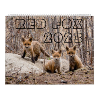 Red Fox 2023 - Kalender
