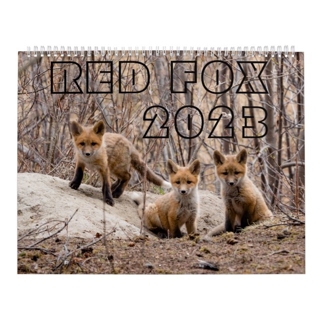 Red Fox 2023 - Kalender (Omslag)