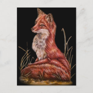 Red Fox Animal Art Teckning Vykort