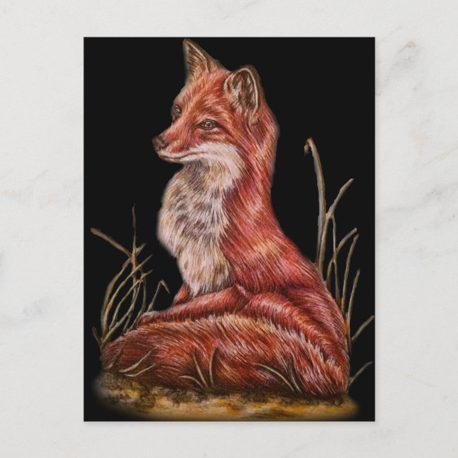 Red Fox Animal Art Teckning Vykort (Framsida)
