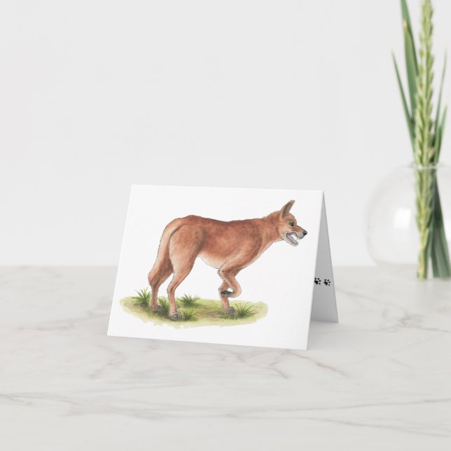 Red Fox Blank Note Card Kort (Framsida)