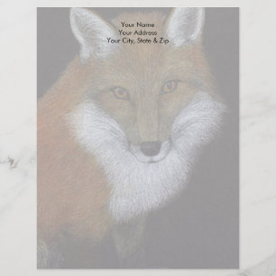 Red Fox Brevhuvud