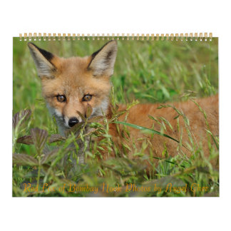 Red Fox Calendar by Angel Cher Kalender