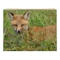 Red Fox Calendar by Angel Cher