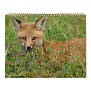 Red Fox Calendar by Angel Cher Kalender