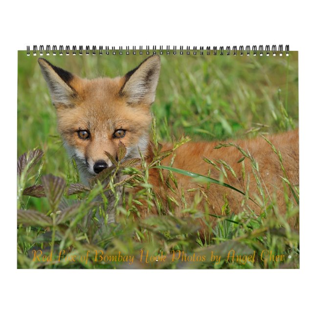Red Fox Calendar by Angel Cher Kalender (Omslag)