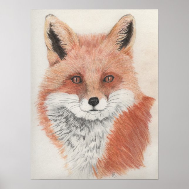 Red Fox Färgpenna Teckning Skriv ut Poster (Framsidan)