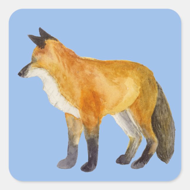 Red Fox Fyrkantigt Klistermärke (Framsida)