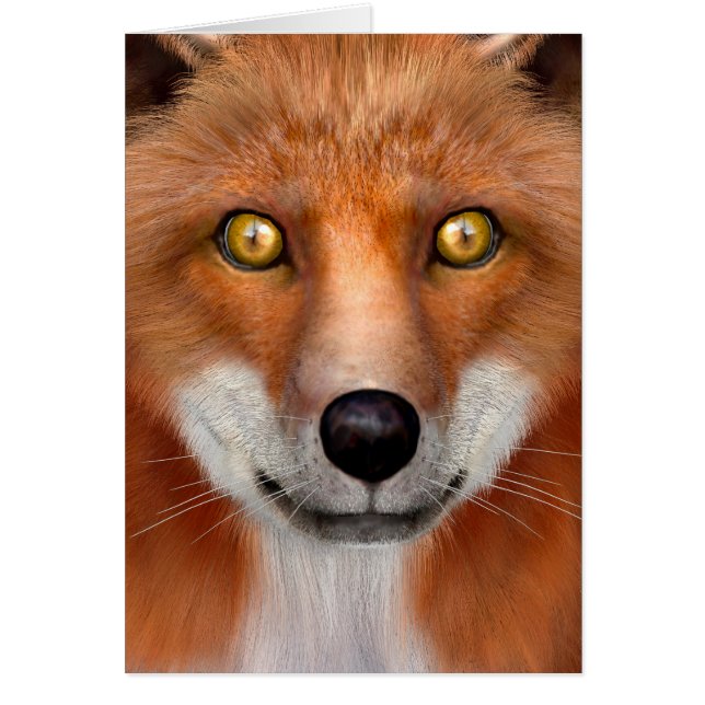 Red Fox Hälsningskort (Framsidan)