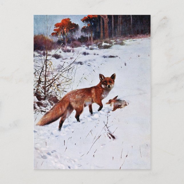 Red Fox Hunting Art Vykort (Framsida)