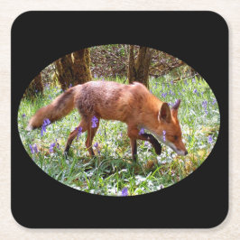 Red Fox i Bluebells Underlägg