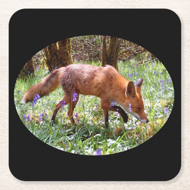 Red Fox i Bluebells Underlägg (Framsidan)