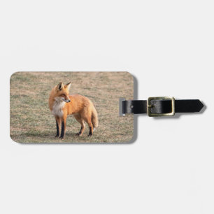 Red Fox i fält Bagagebricka