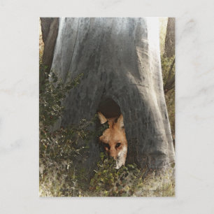 Red Fox i Träd-gåvor och -utrustning Vykort