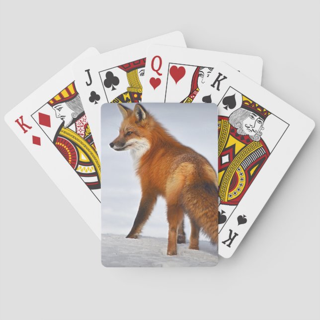 Red Fox i Winter Snö Casinokort (Baksidan)