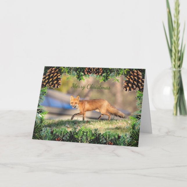 Red Fox-julkort Kort (Framsida)
