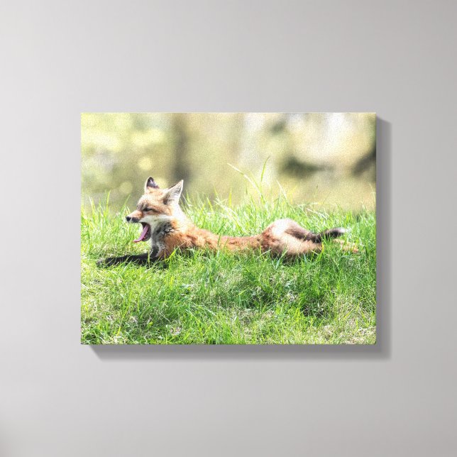 Red Fox Kit Canvastryck (Framsida)