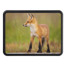 Red Fox Kit Dragkroksskydd