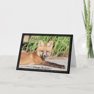 Red Fox Kit för Grattis på födelsedagen-kort Kort