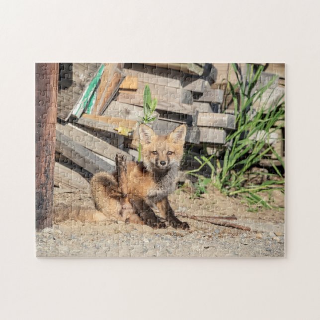 Red Fox Kit i Adirondacks Pussel (Horisontell)