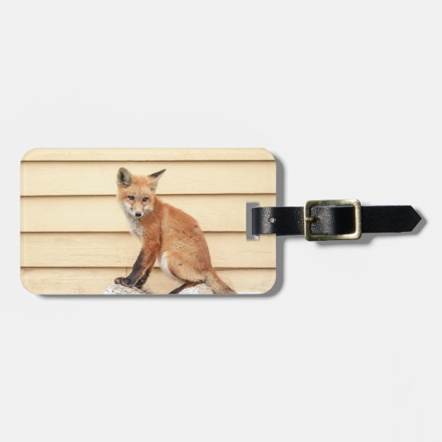 Red Fox Kit i Hudson Valley Bagagebricka (Horisontell Framsida)